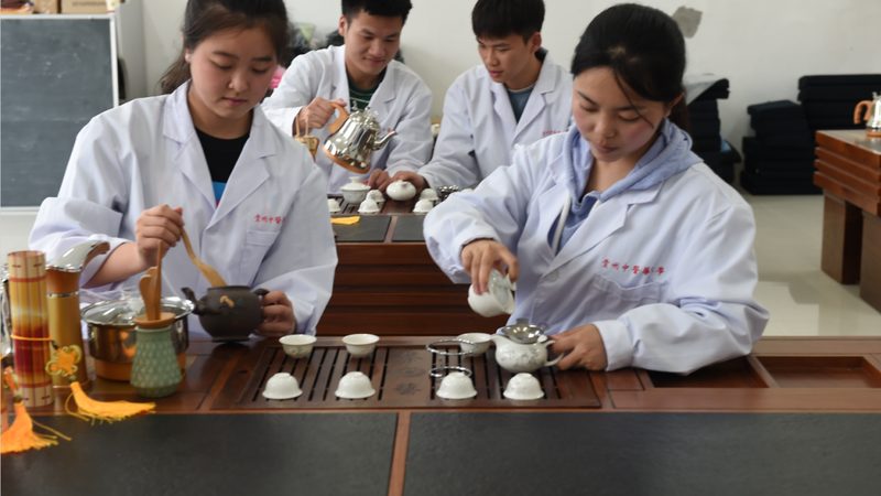 中药调理的价格受多种因素影响，以下是一些主要因素：